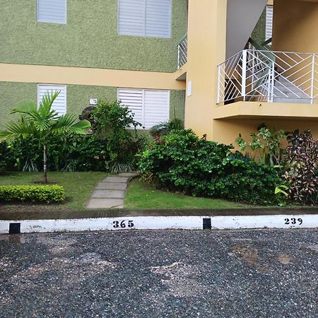 Chelsea Manor Apartment Kingston Exterior foto